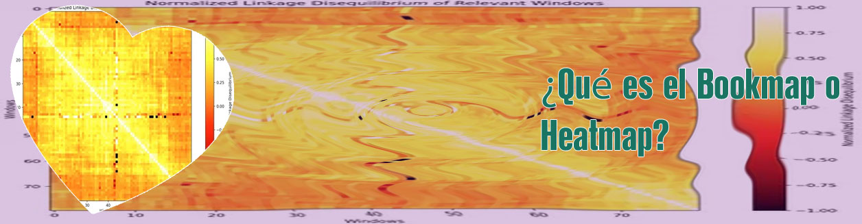 Btc heat map